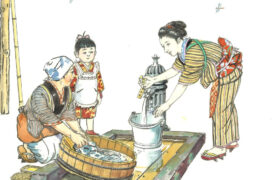 会員限定展示