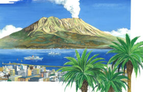 会員限定展示