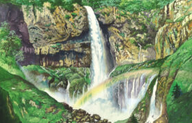 会員限定展示