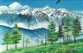 会員限定展示