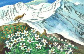 会員限定展示