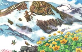 会員限定展示