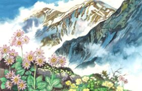 会員限定展示
