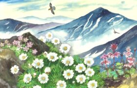 会員限定展示