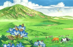 会員限定展示