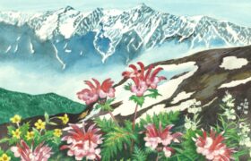 会員限定展示