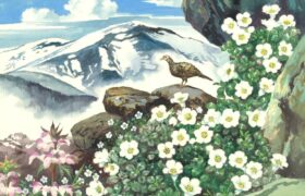会員限定展示
