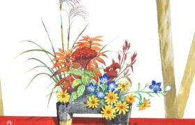 会員限定展示