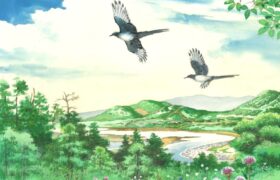 会員限定展示
