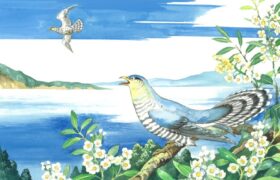 会員限定展示