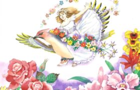 会員限定展示