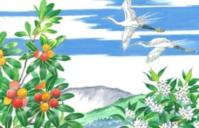 会員限定展示