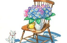 会員限定展示